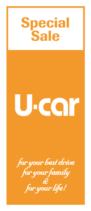 U-CAR オレンジ【K-89】（中古車,セール）