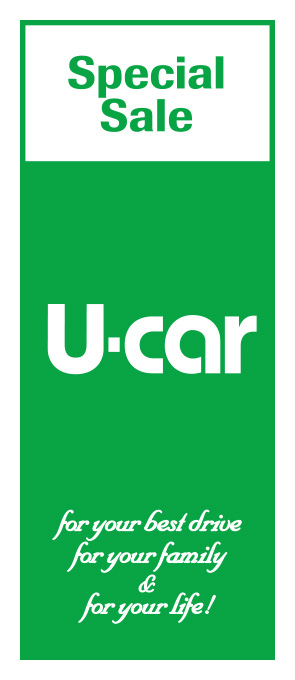 U-CAR グリーン【K-91】（中古車,セール）